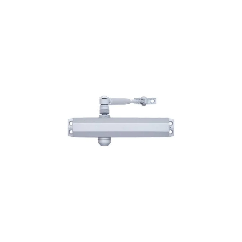 Дотягувач накладний RYOBI 2000 D-2005V BC STD_ARM EN_3/4/5 до_100кг 1250мм FIRE